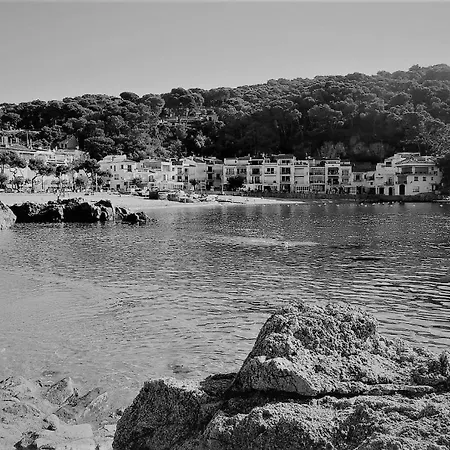 Vista Al Mar 313 - 2h דירה *