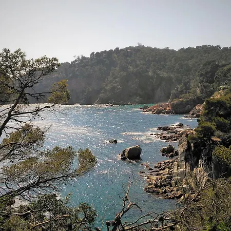 Vista Al Mar 313 - 2h * פאלס