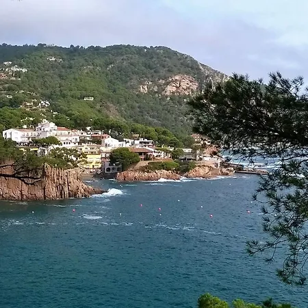 Vista Al Mar 313 - 2h Pals
